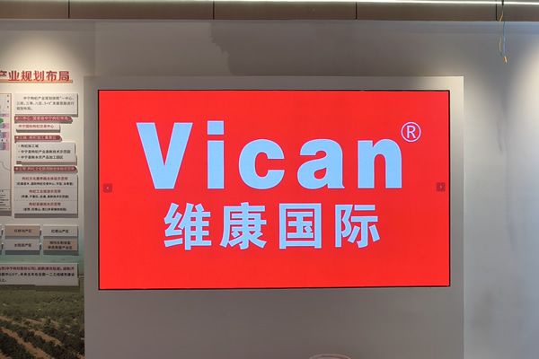 p1.86顯示屏多少錢一平？